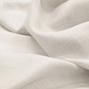 Aesop (Sample)