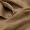 Aesop (Sample)