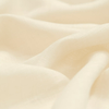 Aesop (Sample)