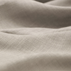 Aesop (Sample)