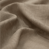 Aesop (Sample)