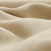 Aesop (Sample)