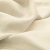 Aesop (Sample)