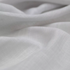 Aesop (Sample)