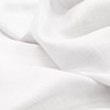 Aesop (Sample)