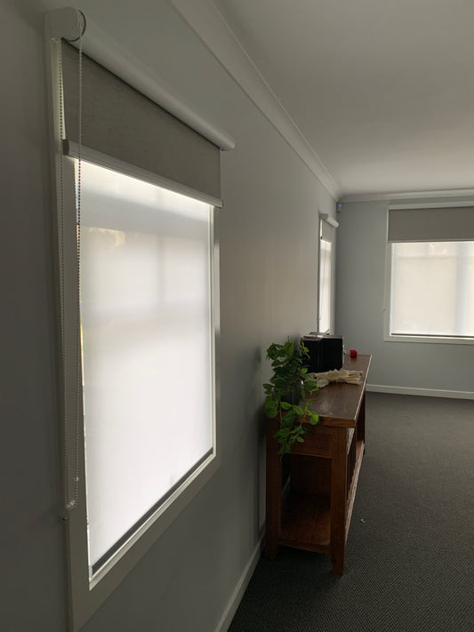 Dual Roller Blinds (Blockout and Screen)
