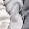 Aesop (Sample)